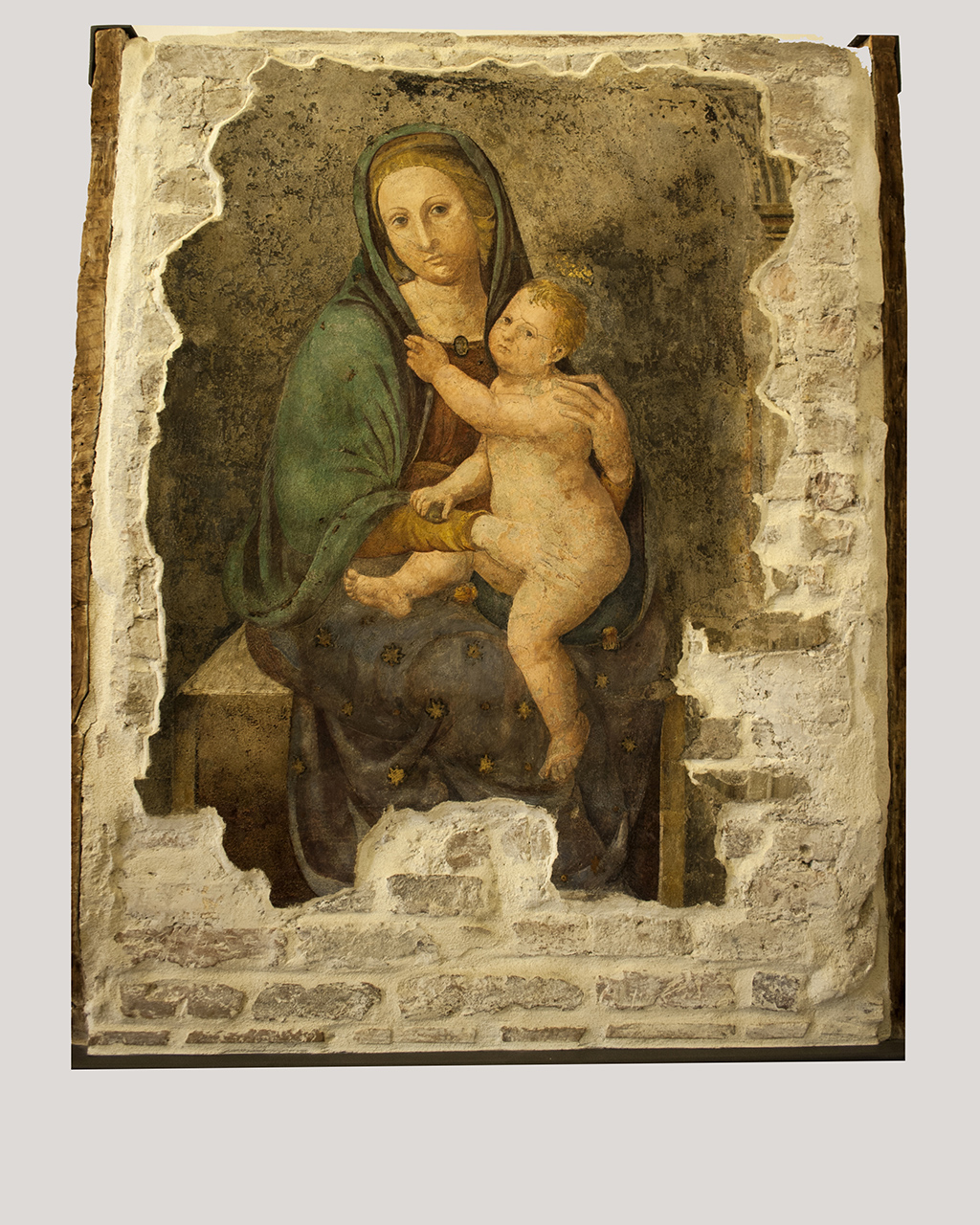 Madonna con Bambino (dipinto, opera isolata) di Viti Timoteo (attribuito) - ambito marchigiano (primo quarto sec. XVI)