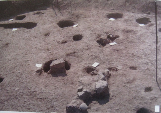 Campomarino, Arcora (insediamento, villaggio) - Campomarino (CB)  (fine Età del Bronzo finale)