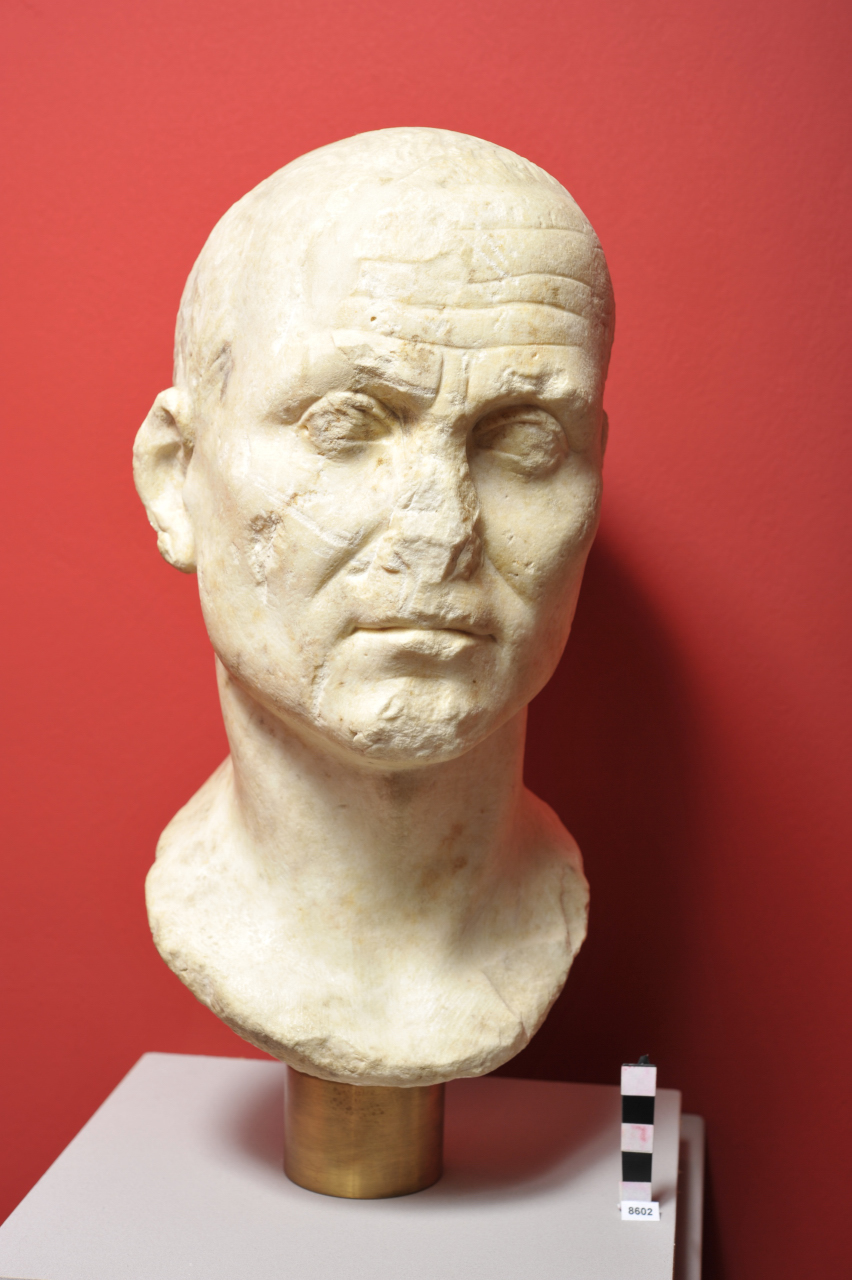 ritratto virile (testa) (prima metà I)