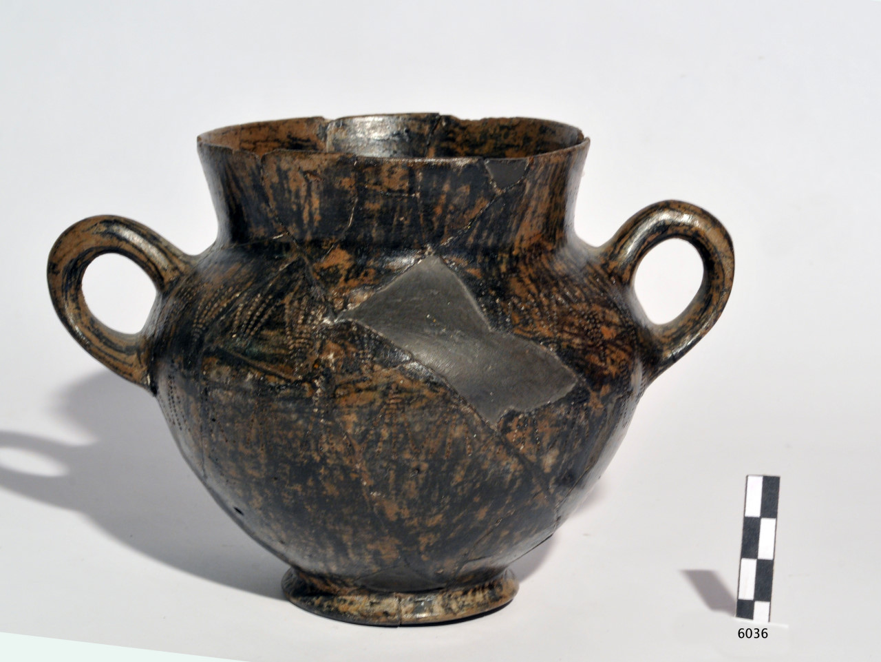 olla biansata - Fase Piceno IV A (VI a.C)