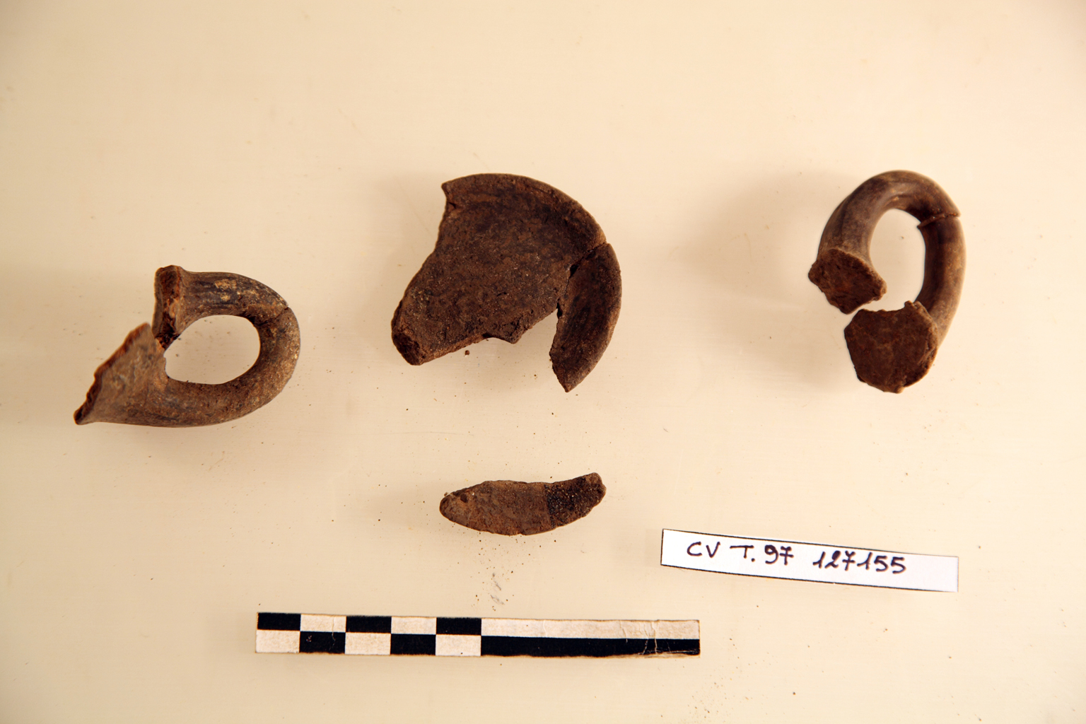 anforetta/ ansa, piede - Fase Piceno III avanzato- IV A iniziale (VII - VI a.C)