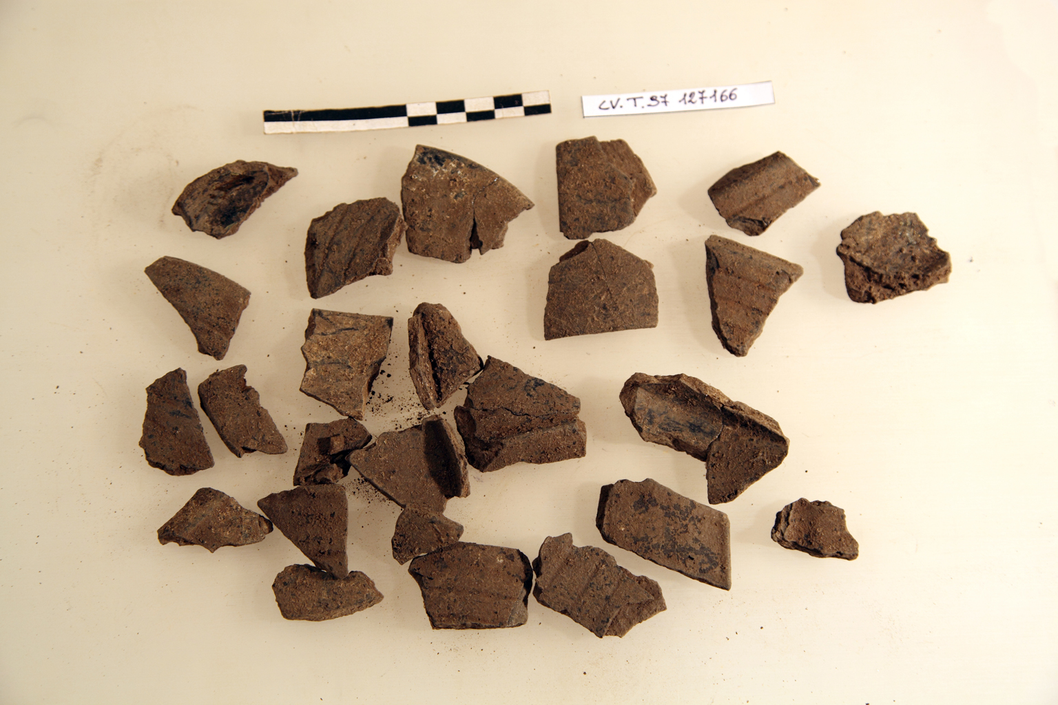 calice/ frammenti - Fase Piceno III avanzato- IV A iniziale (VII - VI a.C)