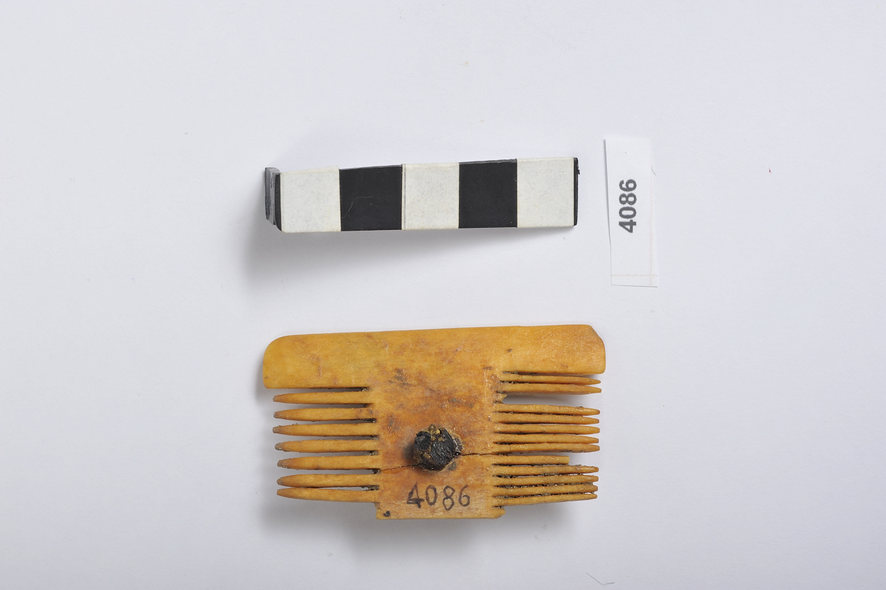pettine (Età romana)