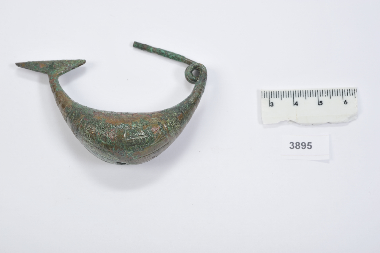 fibula/ a sanguisuga (VIII a.C)