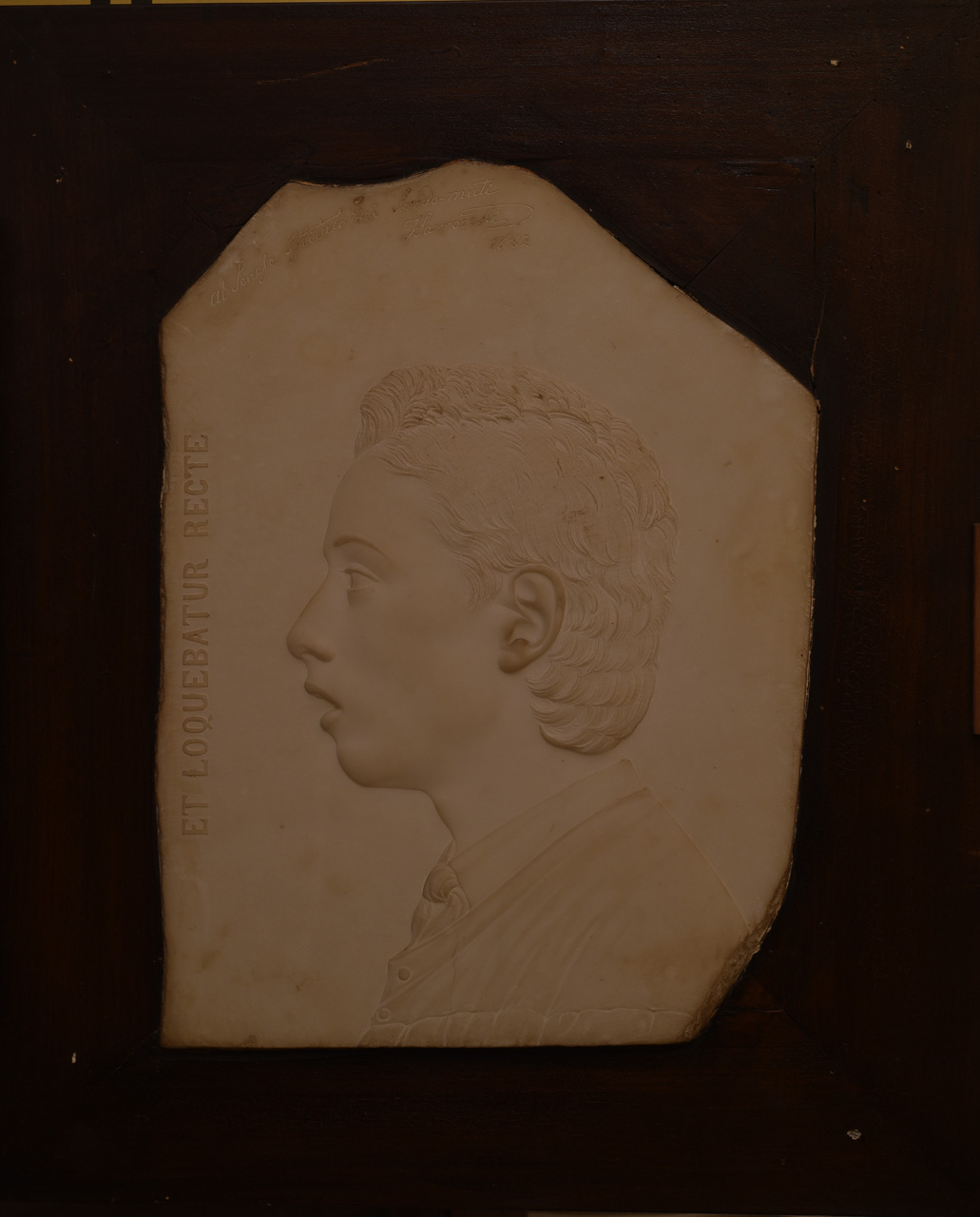 Ritratto virile, giovane uomo (bassorilievo) di Sarrocchi Tito (sec. XIX)