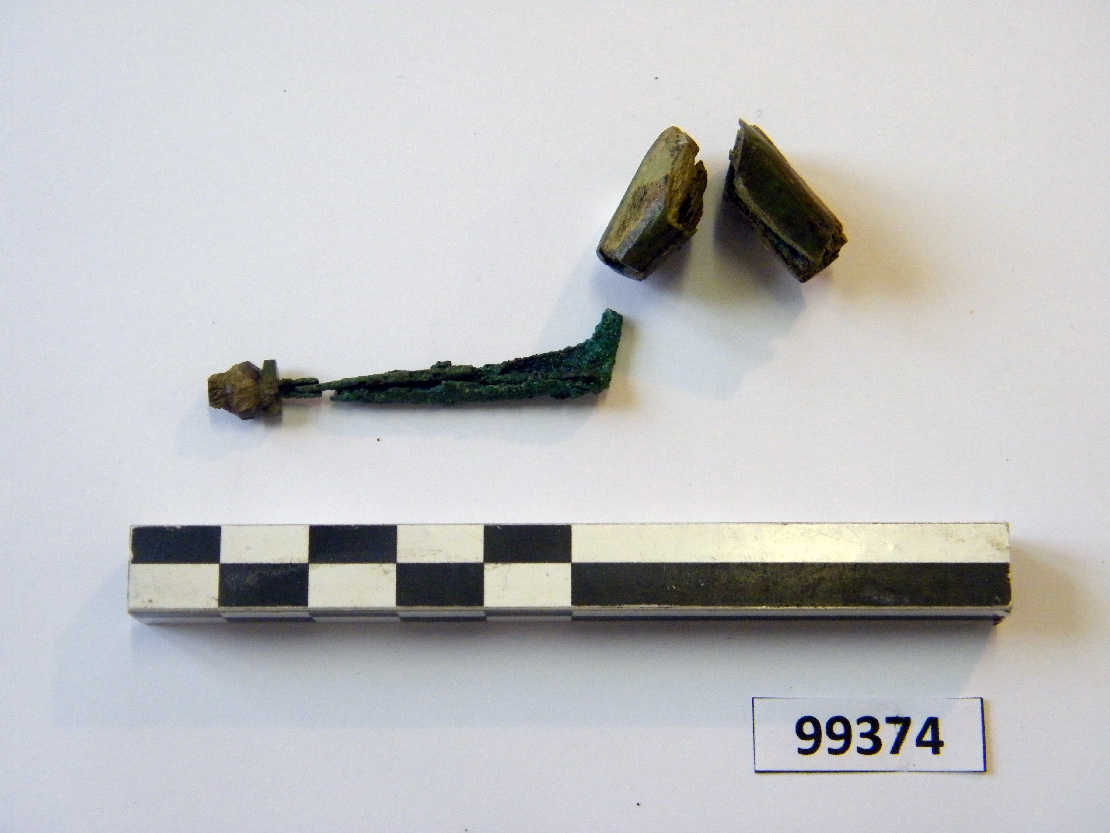 fibula/ frammenti, ad arco rivestito (sec. VI a.C)