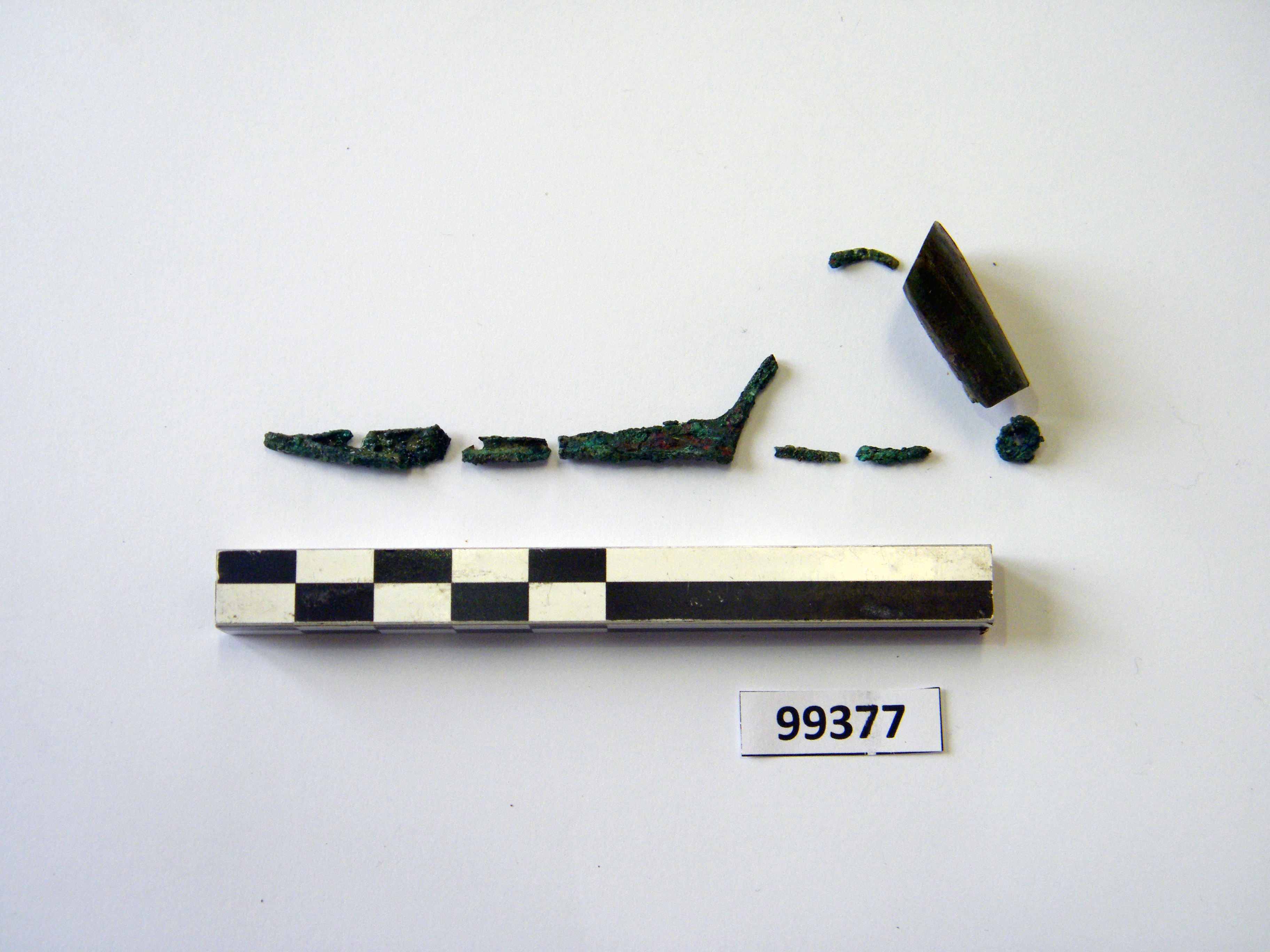 fibula, ad arco rivestito (sec. VI a.C)
