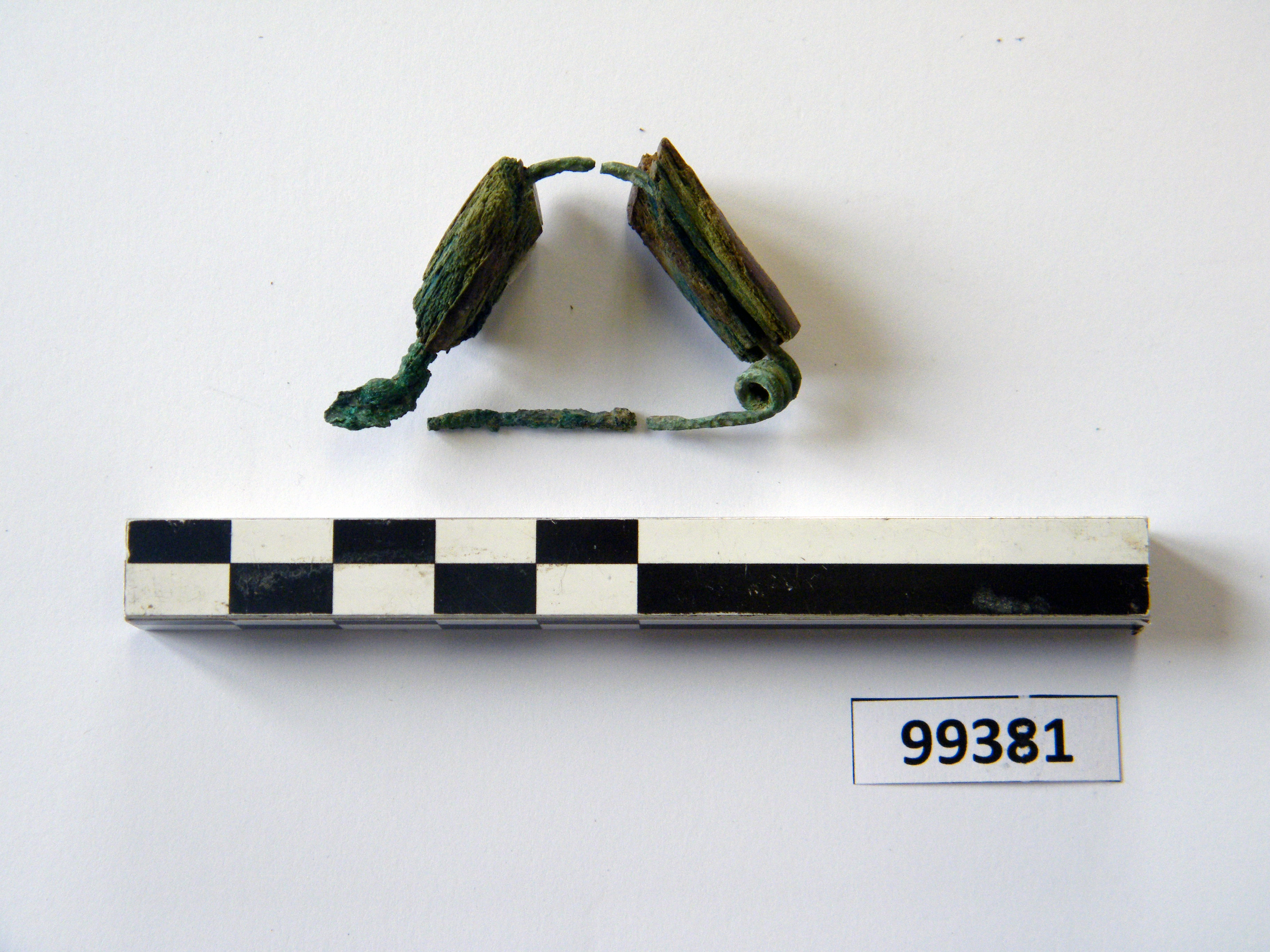 fibula/ frammenti, ad arco rivestito (sec. VI a.C)