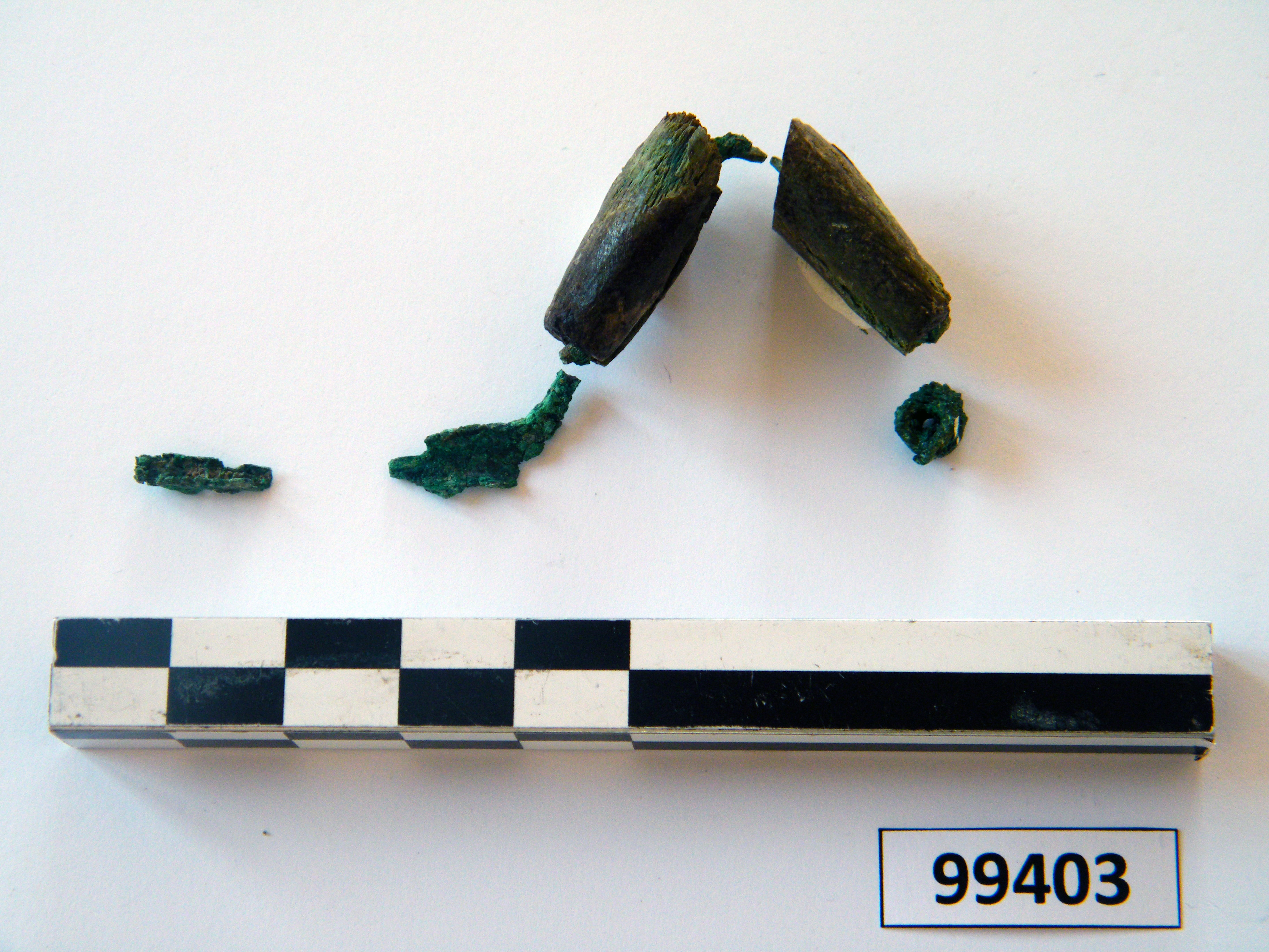 fibula/ frammenti, ad arco rivestito (sec. VI a.C)