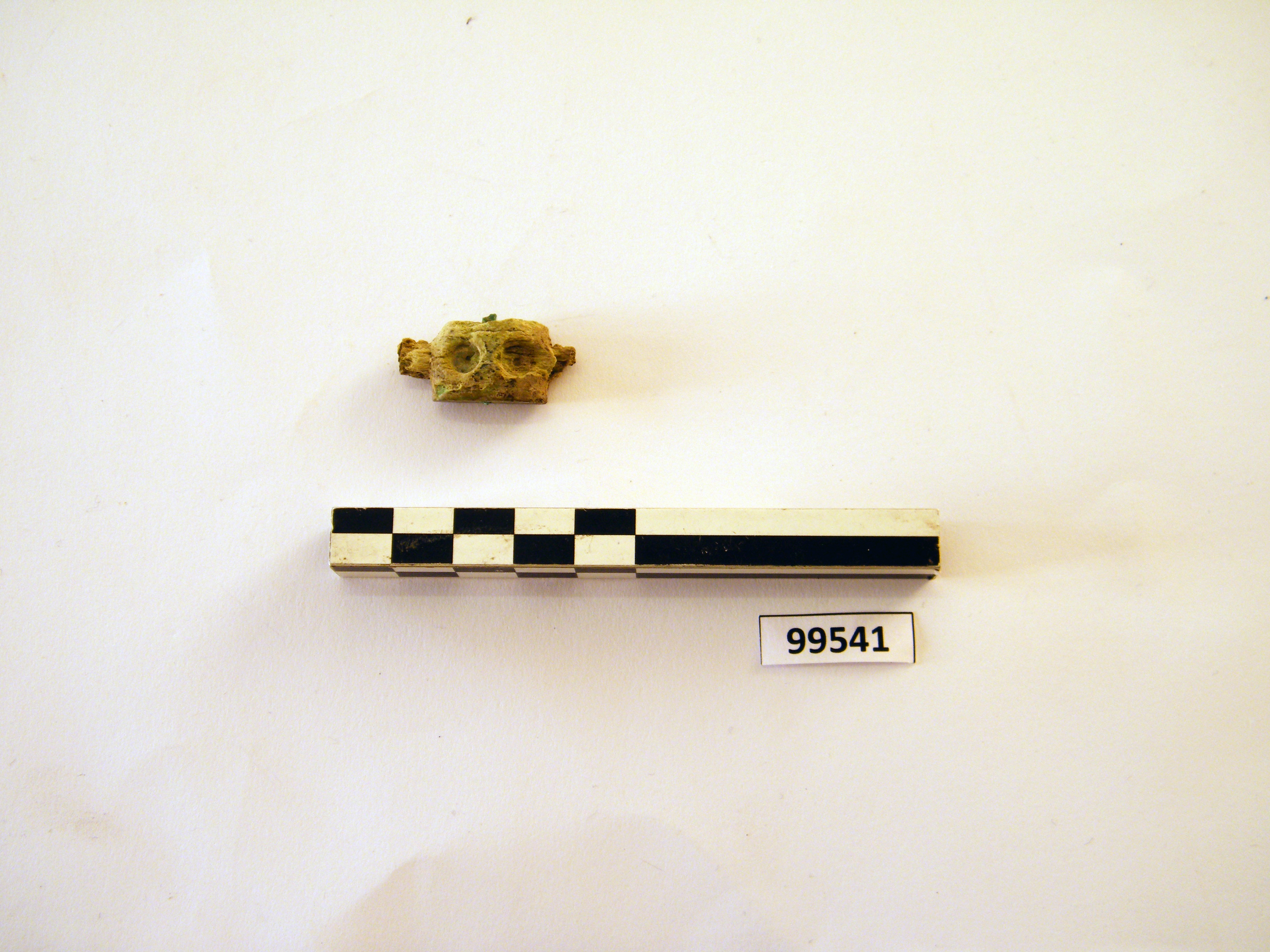 fibula/ frammenti, ad arco rivestito (sec. VI a.C)