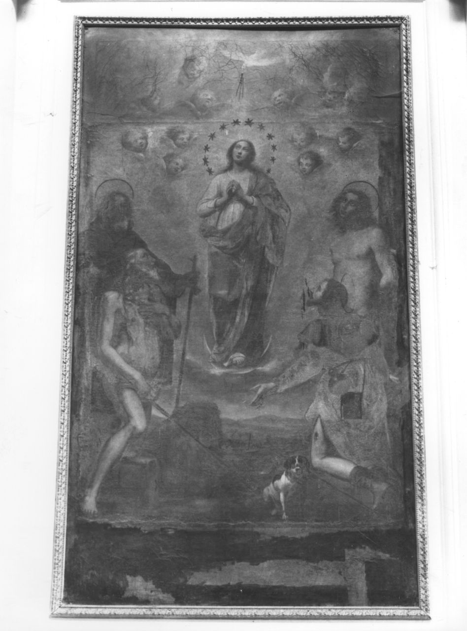 Immacolata Concezione e santi (dipinto) di Lippi Lorenzo (sec. XVII)
