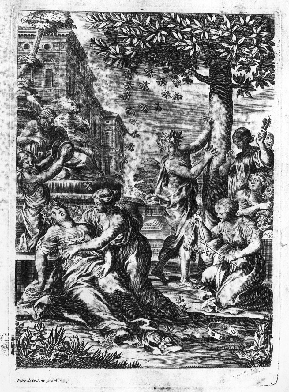 metamorfosi di Fiorilla e Melissa (stampa) di Berrettini Pietro detto Pietro da Cortona - ambito italiano (?) (sec. XVII)