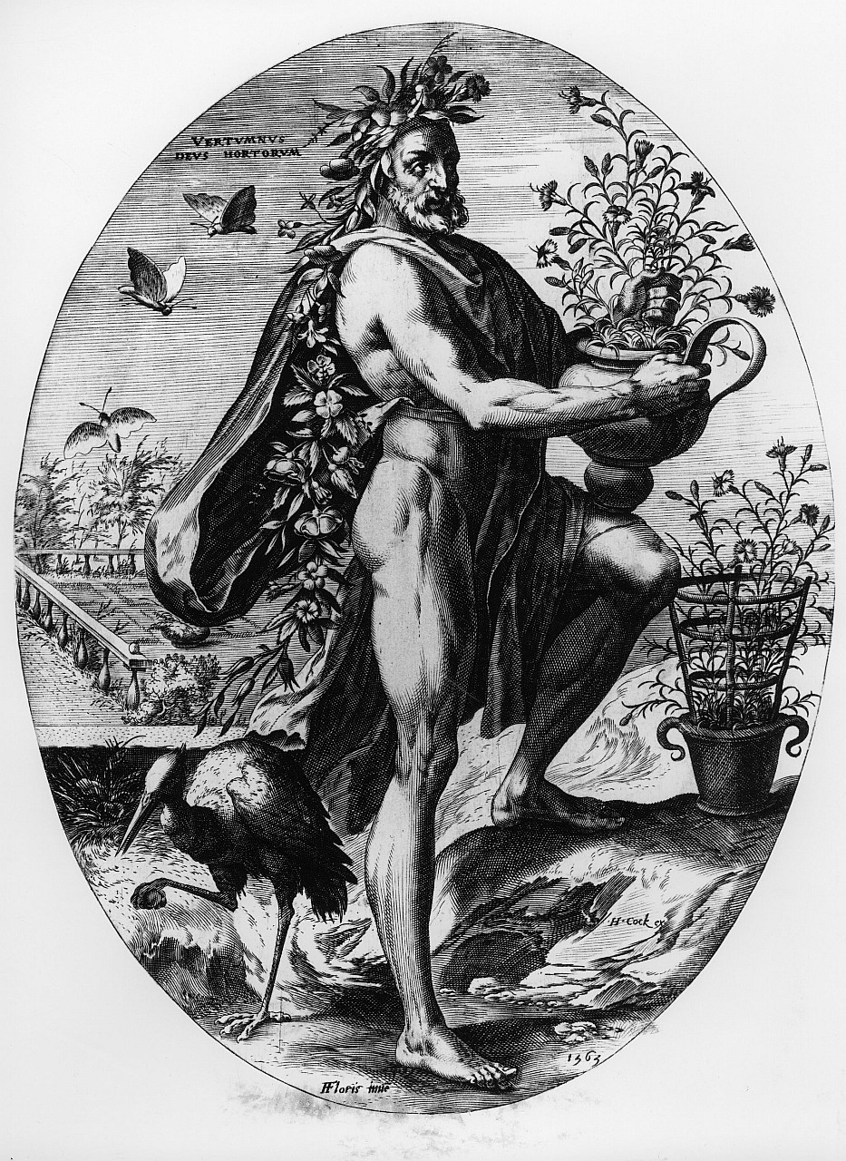 Vertumno (stampa smarginata, serie) di De Vriendt Frans detto Frans Floris - ambito fiammingo (sec. XVI)