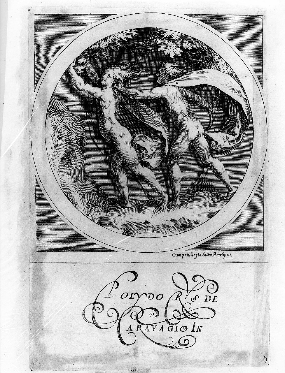 Apollo e Dafne (stampa smarginata) di Alberti Cherubino, Polidoro da Caravaggio (sec. XVII)