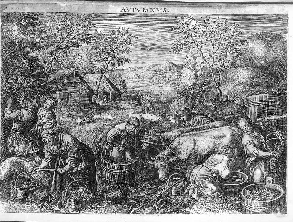 allegoria dell' autunno (stampa smarginata) di Da Ponte Jacopo detto Jacopo Bassano, Furk Sebastian (scuola) (prima metà sec. XVII)