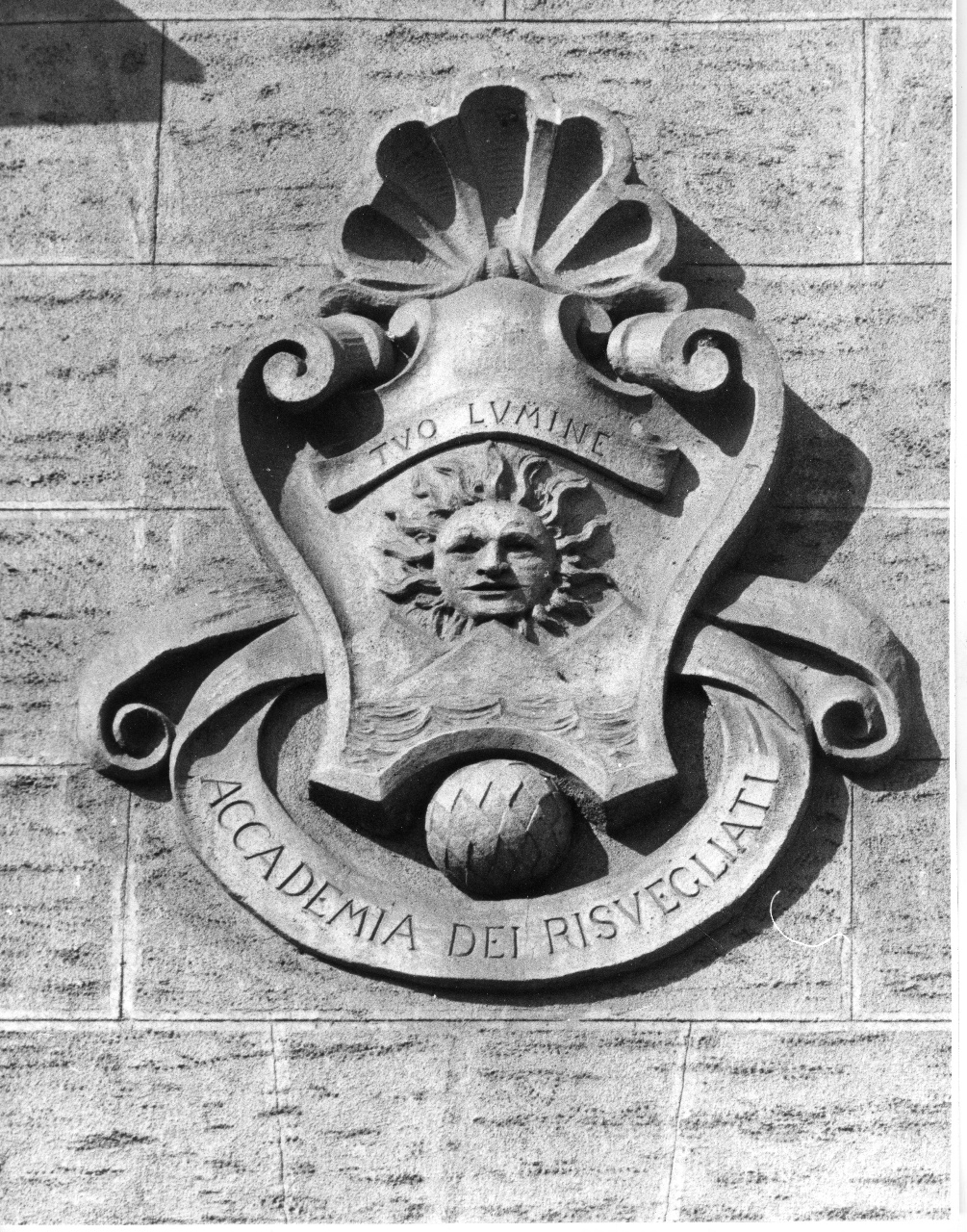 stemma dell'Accademia dei Risvegliati (rilievo) - manifattura toscana (fine/ inizio secc. XIX/ XX)