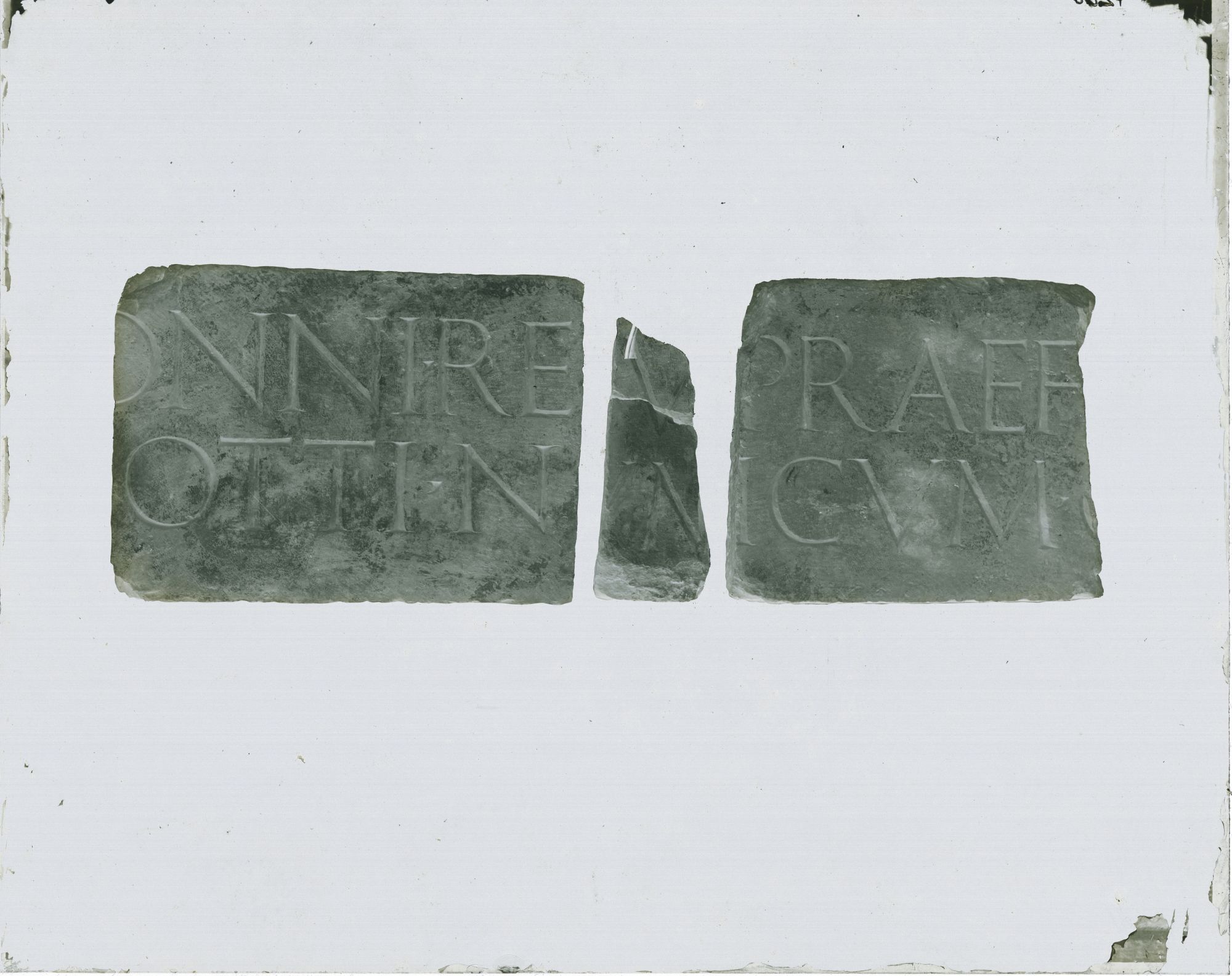 Torino - Museo di Antichità (negativo) di Bertea, Cesare (attr) (fine XIX)