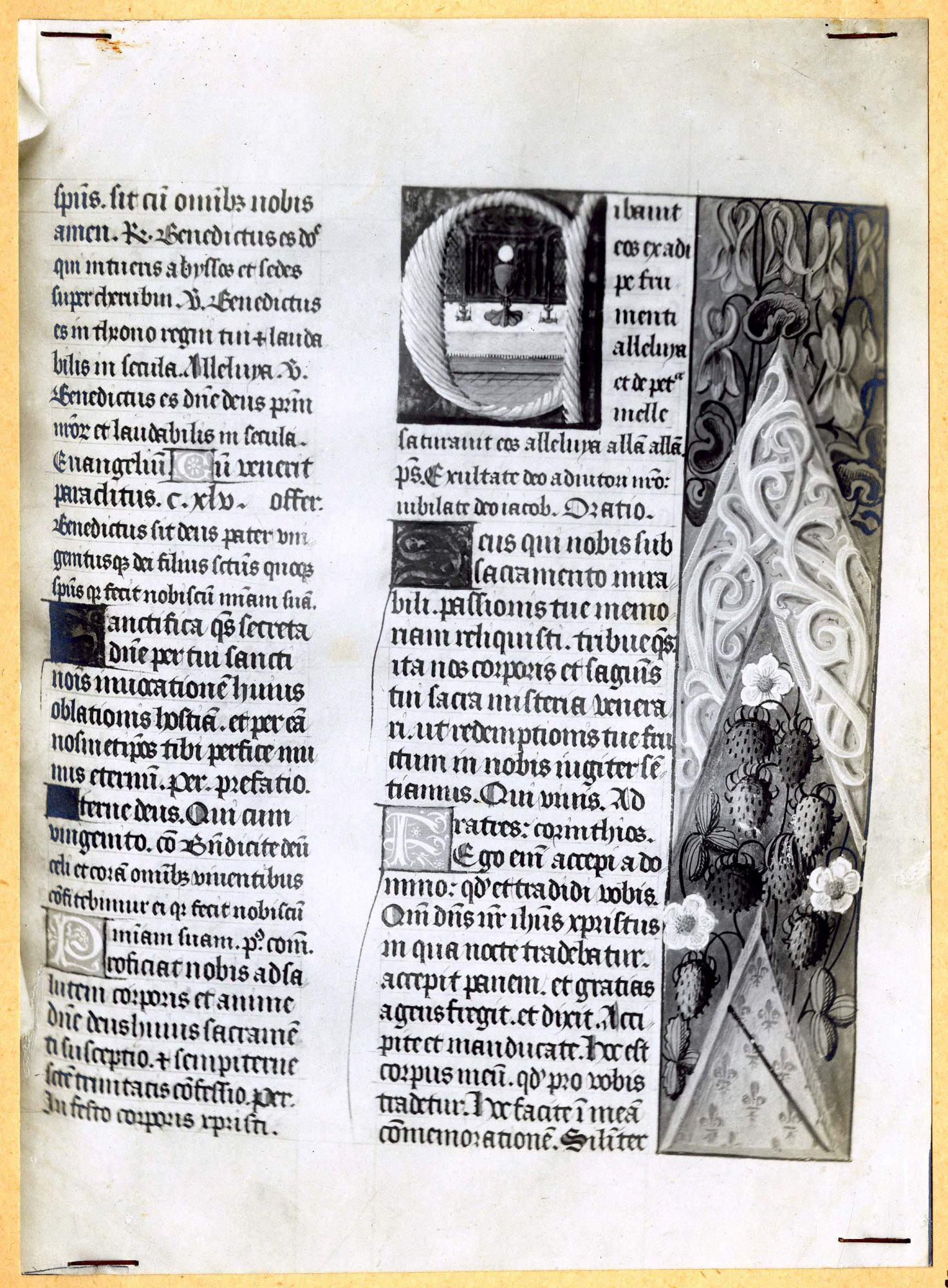 Valle d'Aosta - Opere d'arte - Libri antichi - Miniatura - Messale di Giorgio di Challant (positivo) di Anonimo aostano (secondo quarto XX)