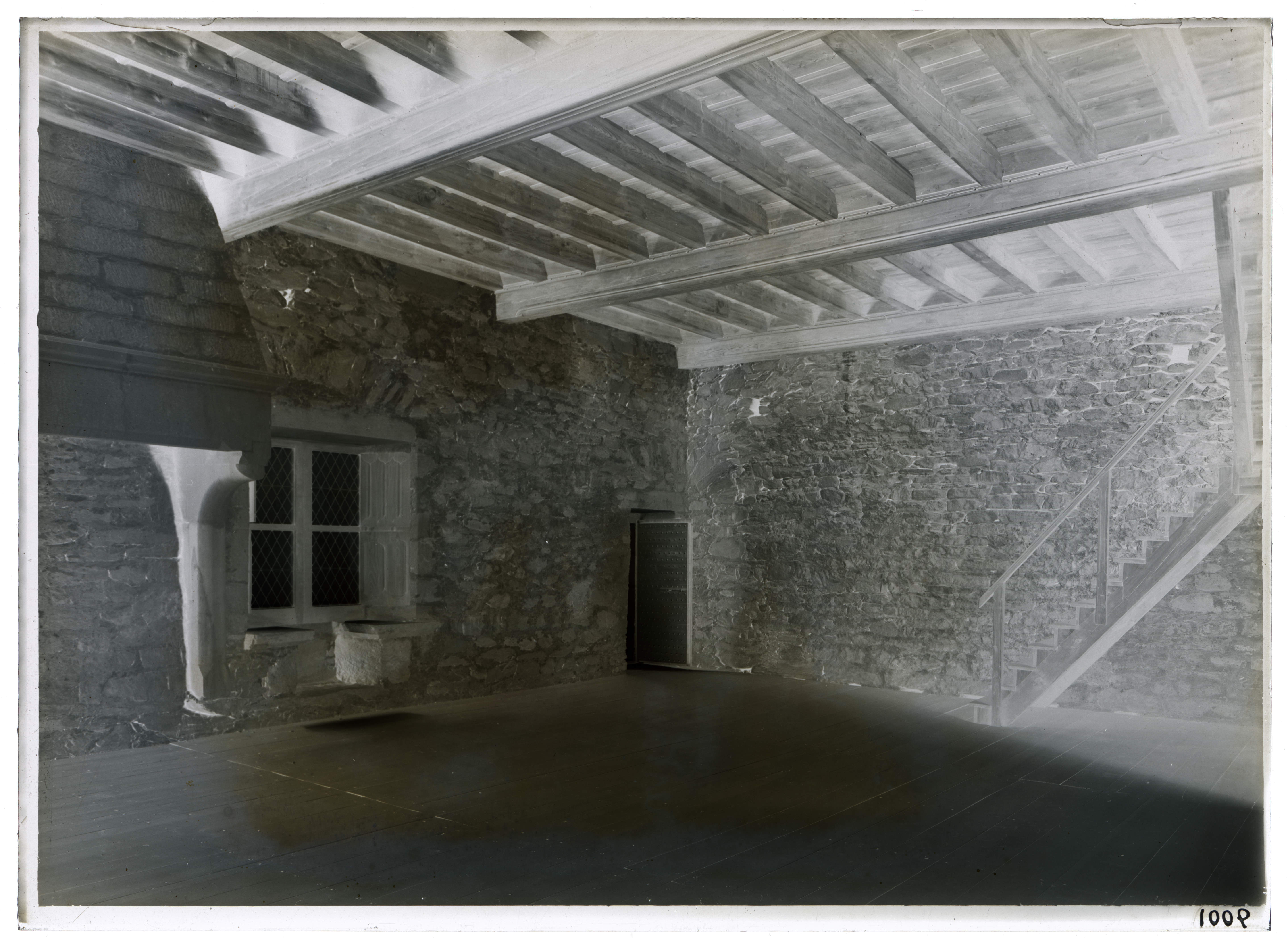 Valle d'Aosta - Elementi architettonici - Elementi decorativi - Soffitti (negativo) di Pedrini, Augusto (XX)