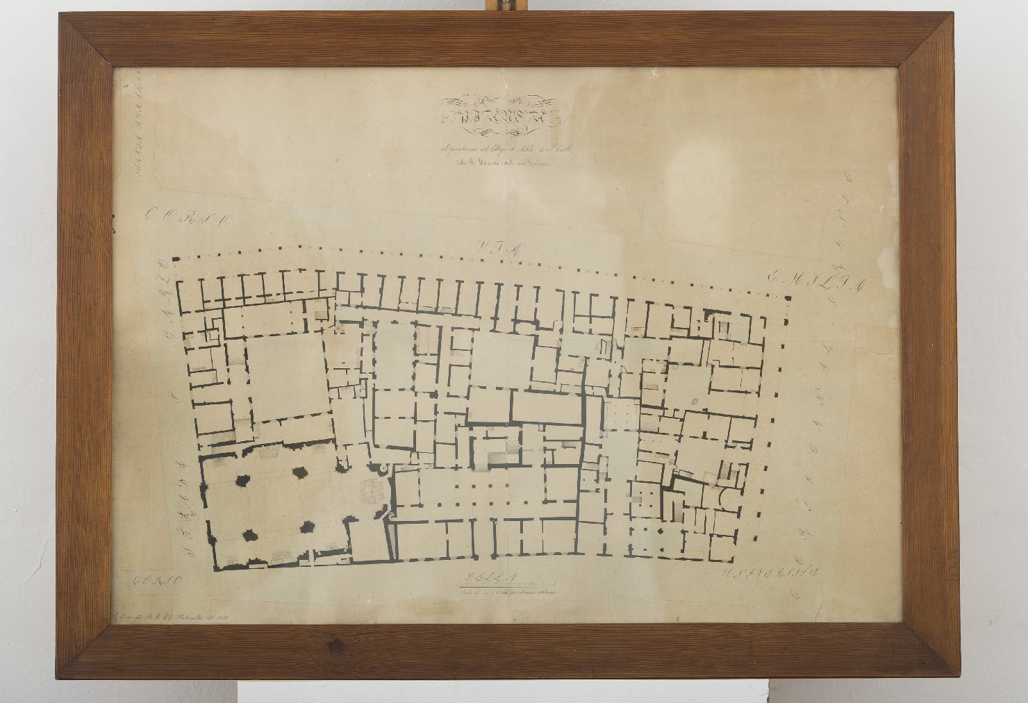 pianta del pianterreno del Collegio San Carlo (disegno architettonico) - ambito modenese (sec. XIX)