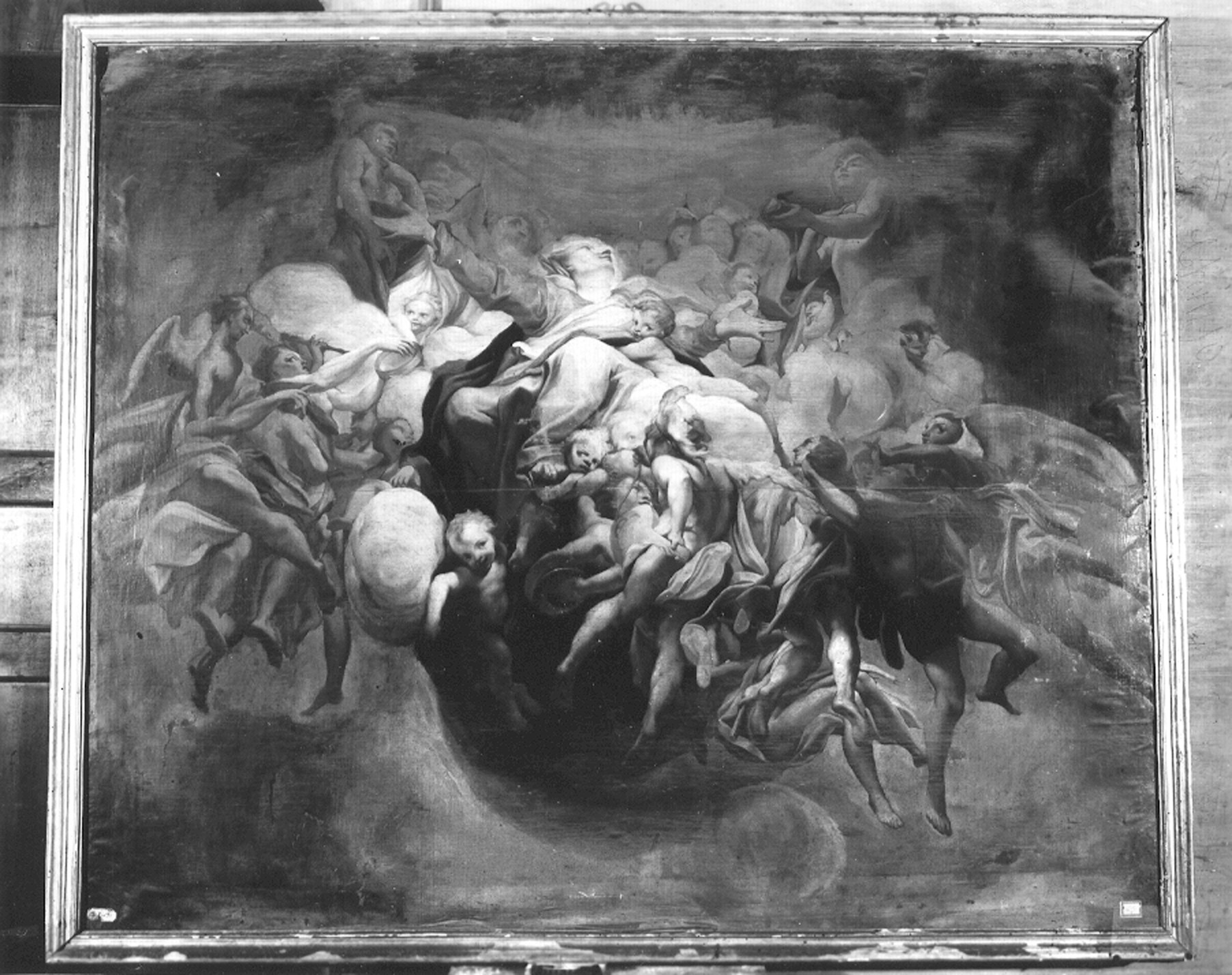 De Ferrari, Gregorio. Assunzione della Madonna - Genova - Museo dell'Accademia Ligustica di belle Arti (negativo) di Foto cresta (prima metà XIX)