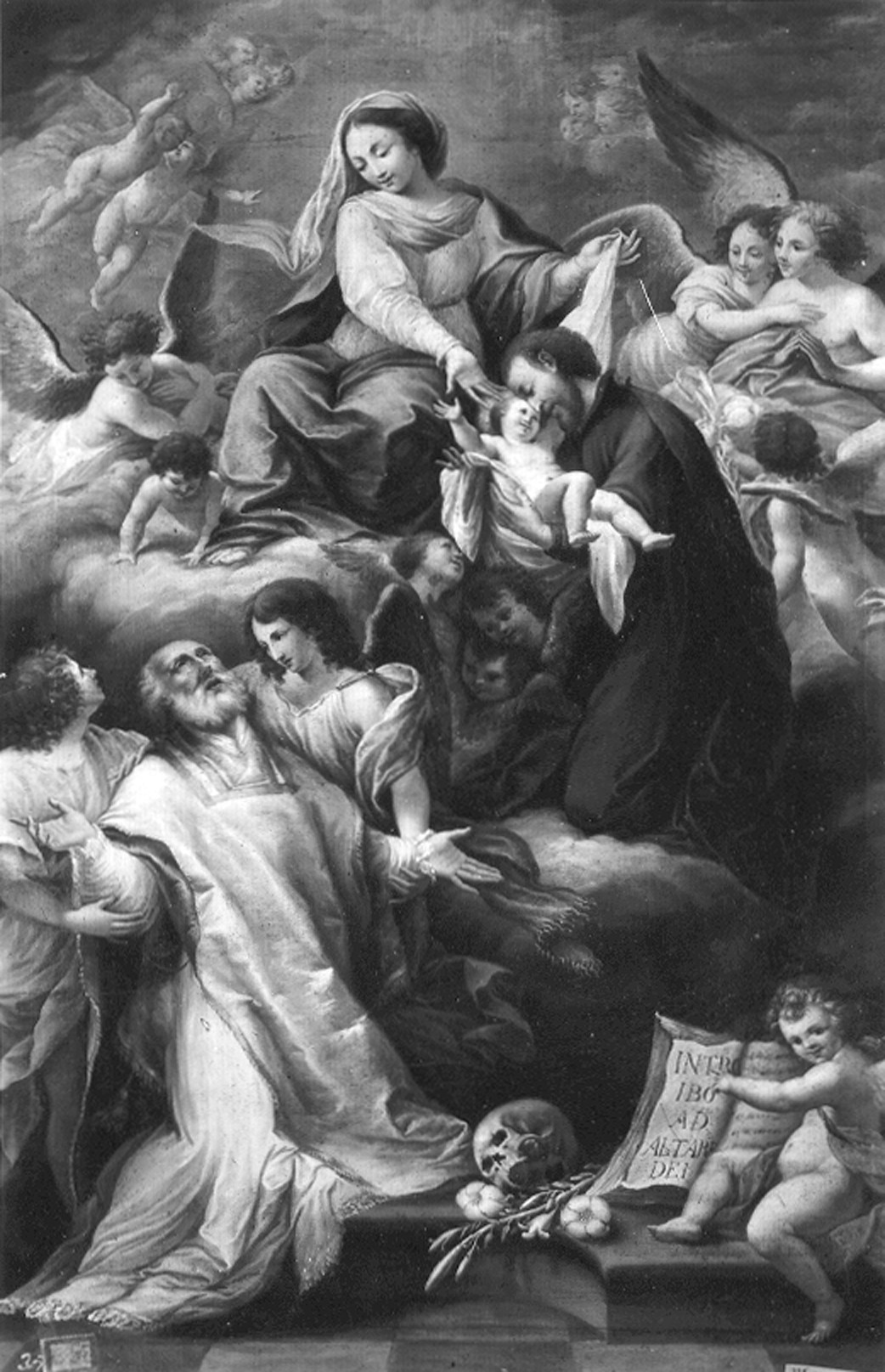 Autore ignoto. Madonna con Bambino tra angeli e Santi - Genova - Museo dell’Accademia Ligustica di Belle Arti (negativo) di Foto cresta (prima metà XIX)
