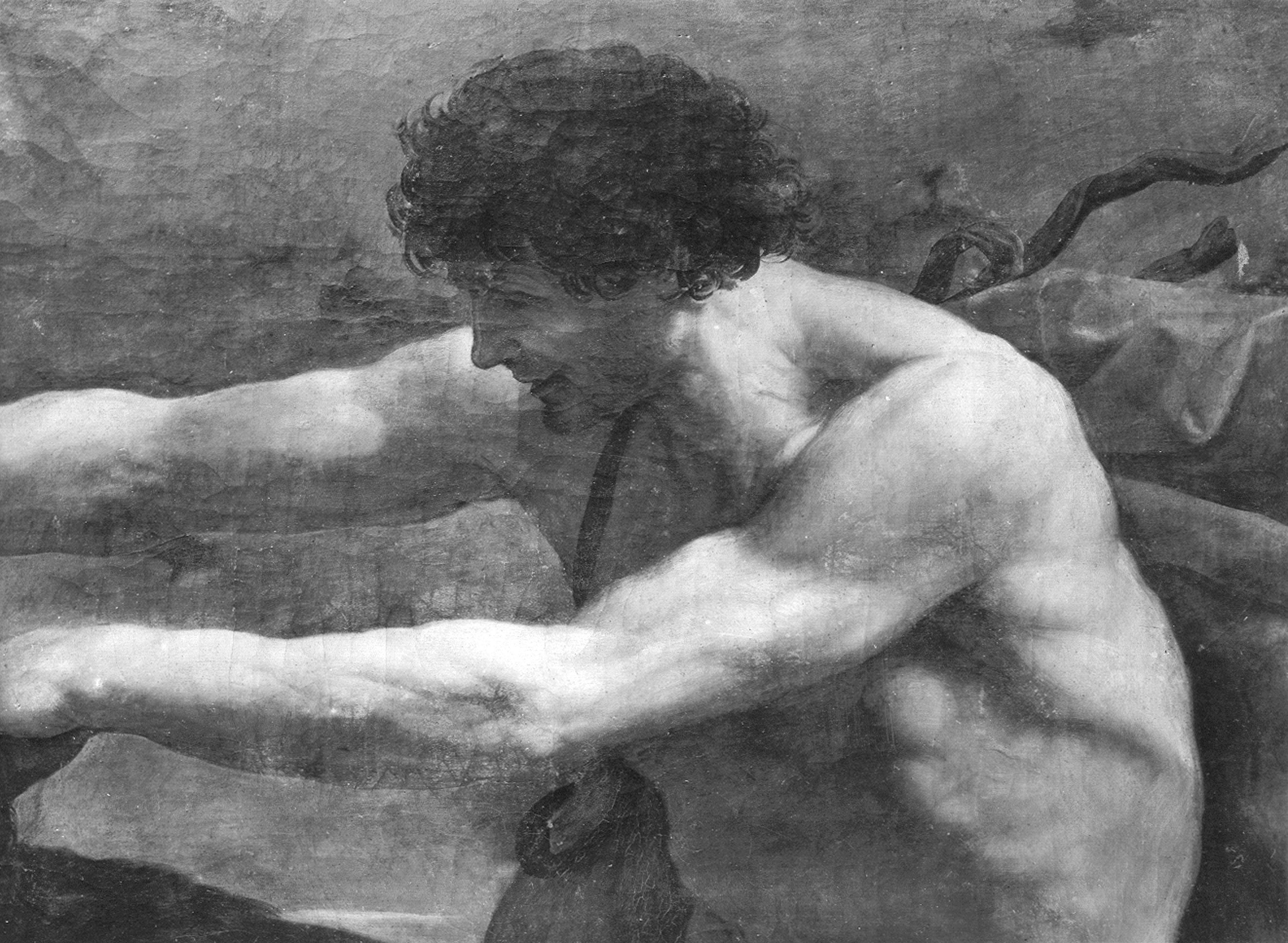 Reni, Guido (ambito). Ercole e il leone di Nemea (particolare) - Genova - Palazzo del Marchese Cattaneo Adorno (negativo) di Foto Gasparini (metà XX)