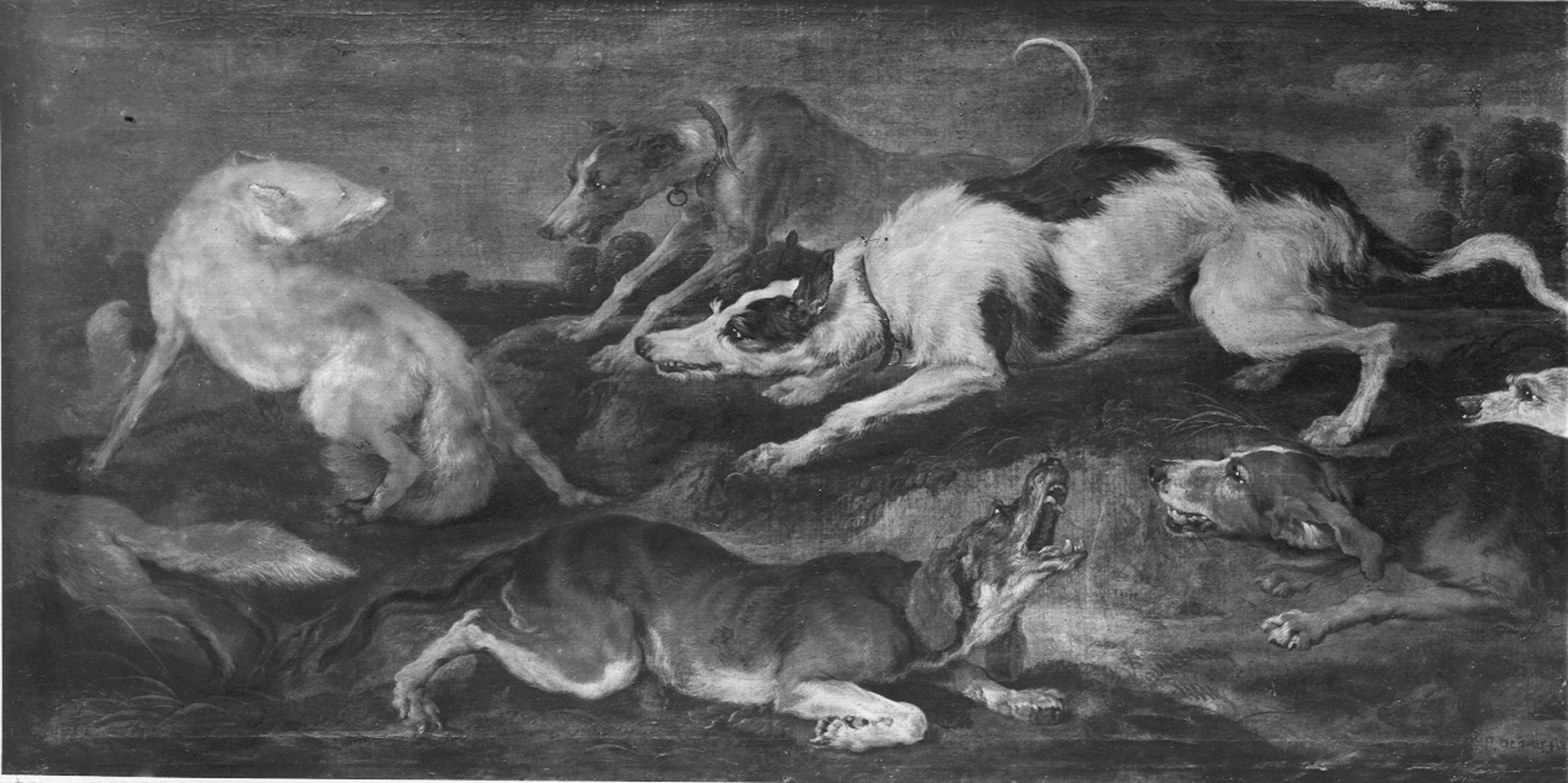 De Vos, Martin. Scena di caccia - Genova - Villa Balbi Durazzo Gropallo allo Zerbino (negativo) di Foto Gasparini (metà XX)