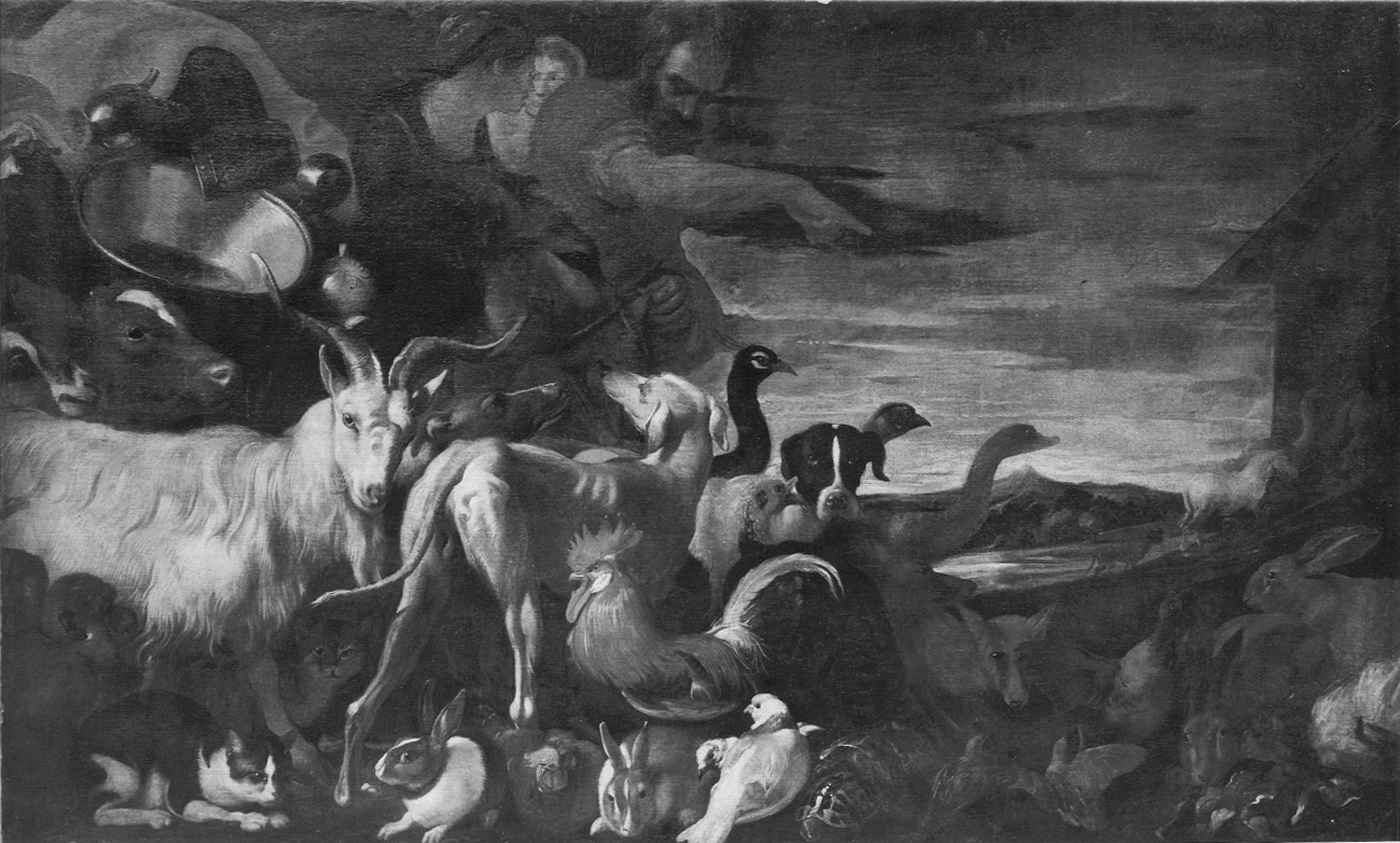 Castiglione, Giovanni Benedetto (ambito). Uscita degli animali dall'arca - Genova - Villa Balbi Durazzo Gropallo allo Zerbino (negativo) di Foto Gasparini (metà XX)