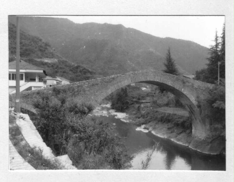 Ponte della Madonna degli Angeli o della Goretta (ponte) - Badalucco (IM)  (XV)