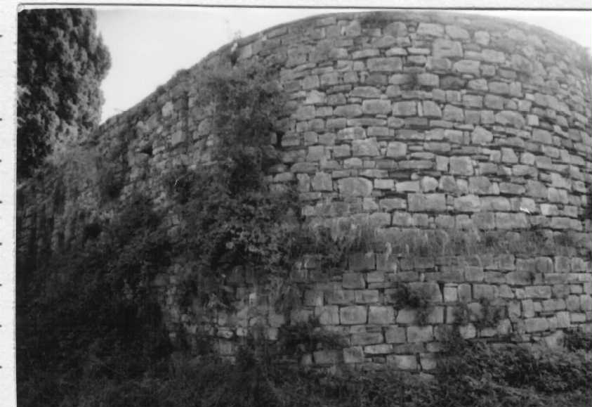 Chiesa Cimiteriale di S. Siro (chiesa, cimiteriale) - Pietrabruna (IM)  (XVI)