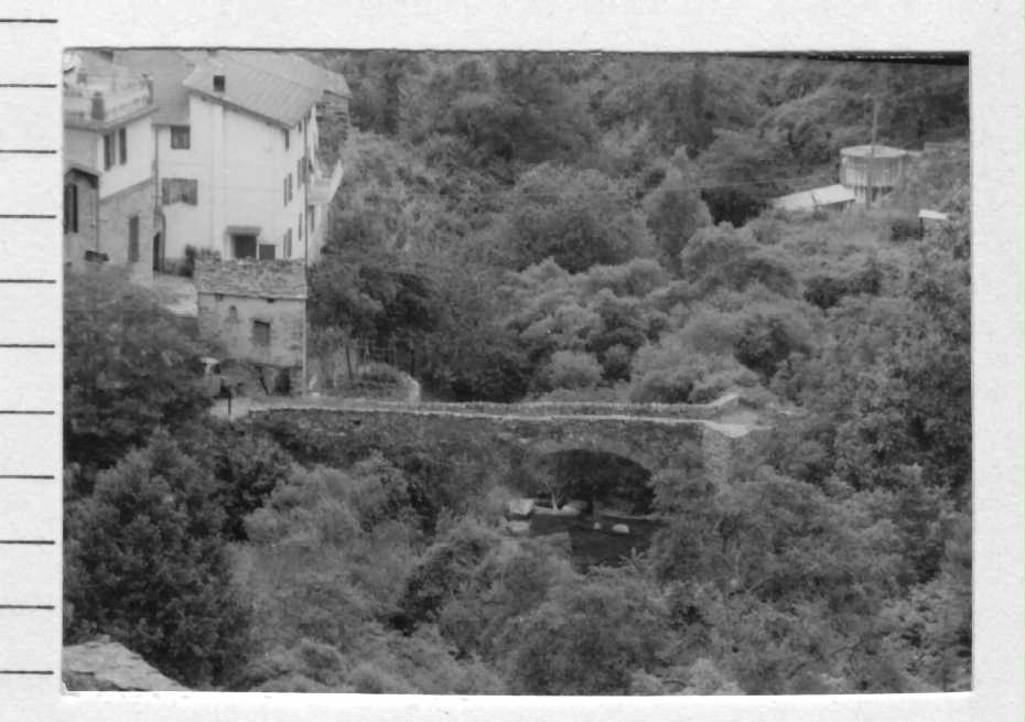 Ponte di Lavina (ponte) - Rezzo (IM)  (XV)