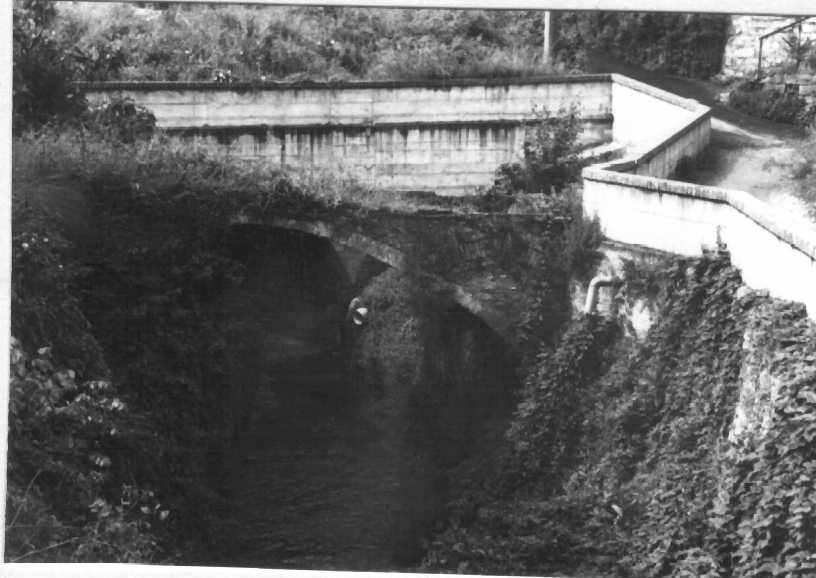 Ponte Mordibue (ponte, rinascimentale) - Sanremo (IM)  (XVII)