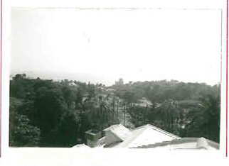 Parco di Villa Carrara (parco) - Genova (GE)  (XV, Inizio)