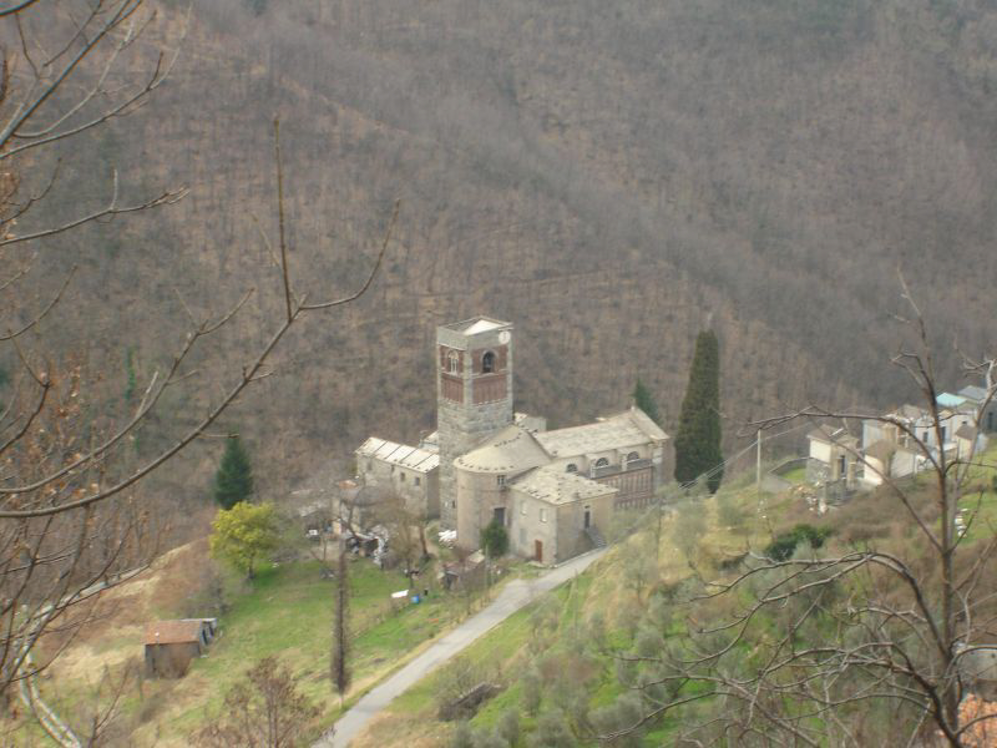 Abbazia di S.Andrea di Borzone (chiesa, abbaziale) - Borzonasca (GE)  (XIII)