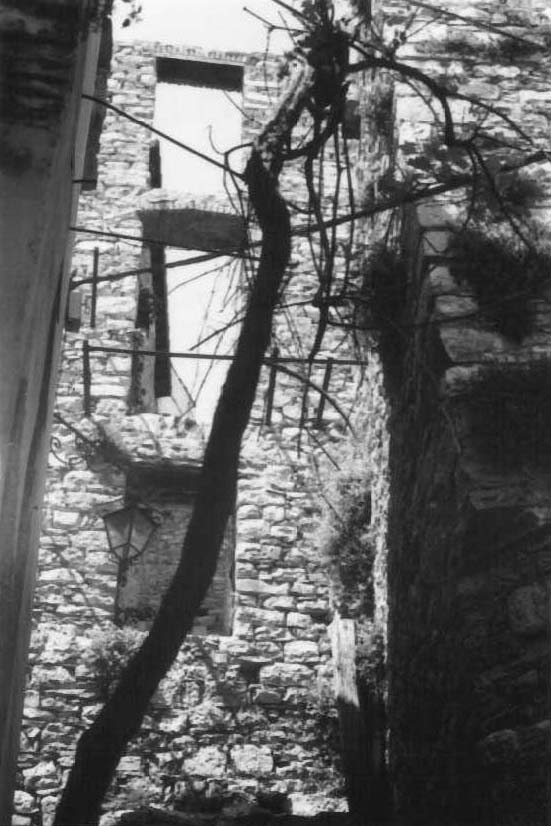 Torre medioevale in località Torria (torre, medioevale) - Chiusanico (SV) 