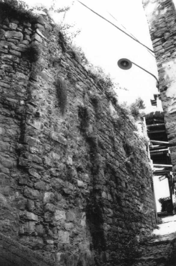 Ruderi di fabbricato demaniale (casa, demaniale) - Taggia (IM)  (XIV)