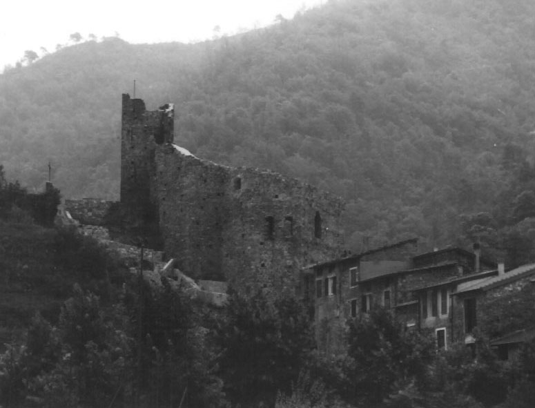 Resti del castello dei Doria (castello, difensivo) - Isolabona (IM)  (XII, Fine)