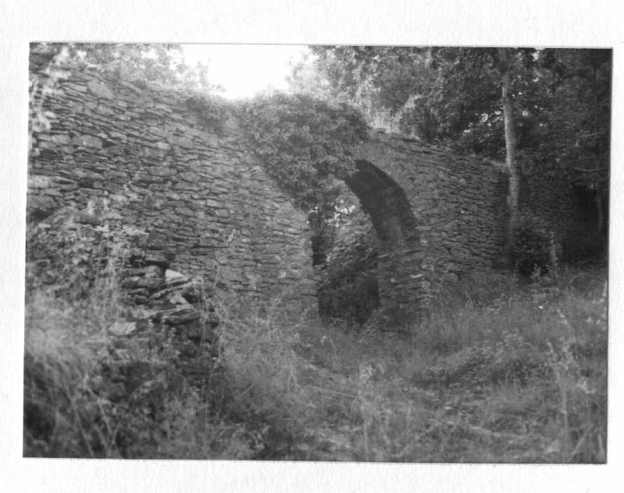 Acquedotto (resti) (ponte, acquedotto) - Beverino (SP)  (XII)