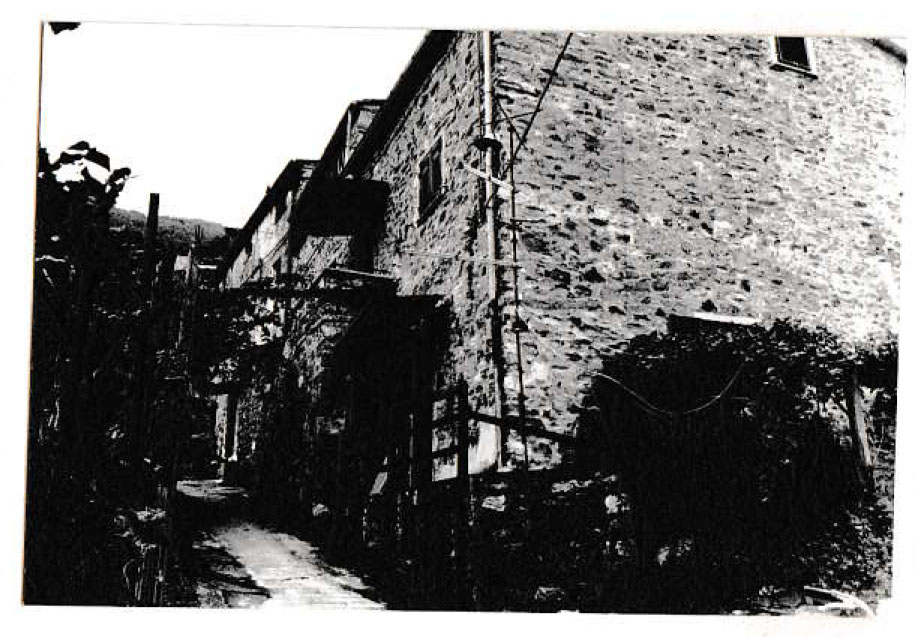 casa, contadina - Levanto (SP)  (XV)