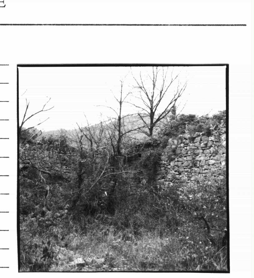 Chiesa di S. Maria (chiesa (ruderi)) - La Spezia (SP) 