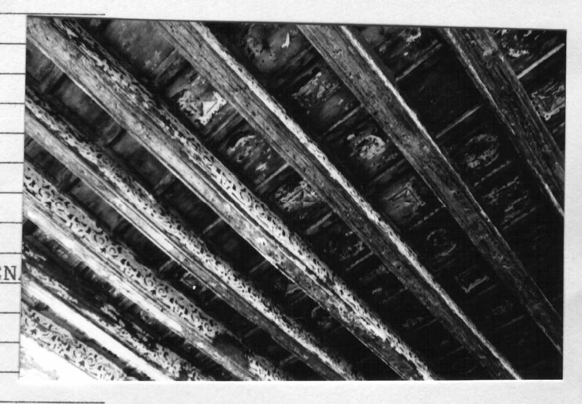 Soffitto (soffitto, affrescato) - Genova (GE)  (XIV)