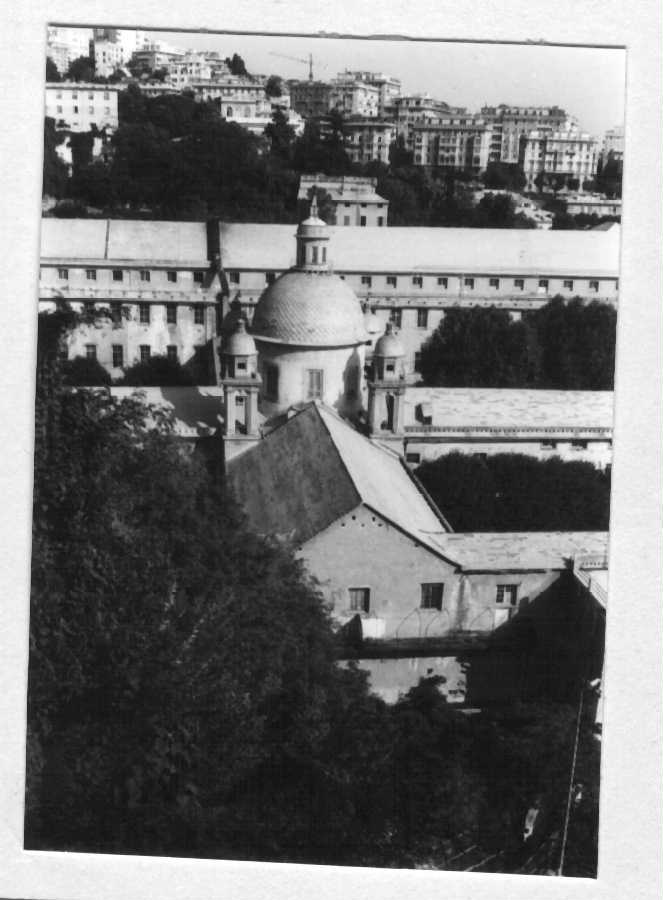 Chiesa della S.S. Concezione (chiesa, privata) - Genova (GE)  (XVII)