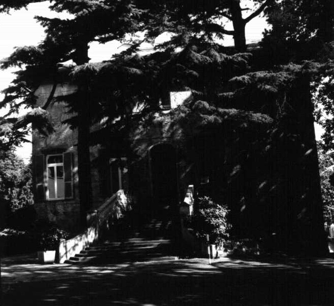 Villa Negrone (palazzo, gentilizio) - Genova (GE)  (XVII)