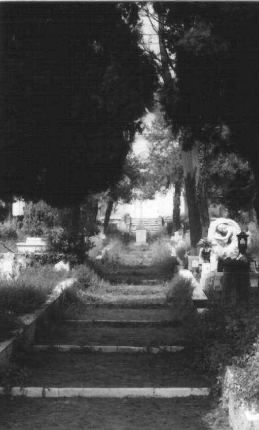 Cimitero di Quinto (cimitero, comunale) - Genova (IM) 