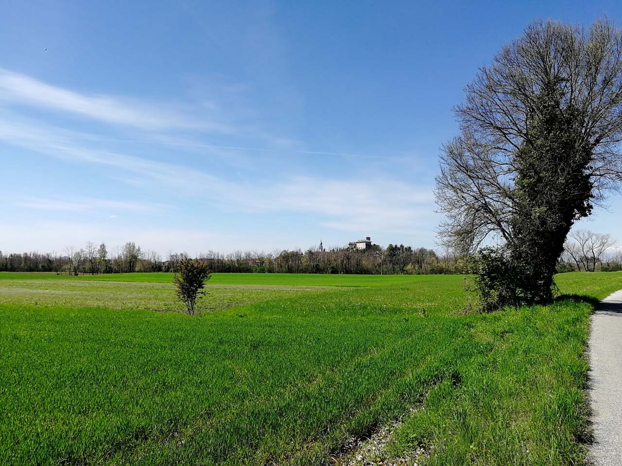 Altura su cui sorge il castello di Villalta (altura) - Fagagna (UD) 