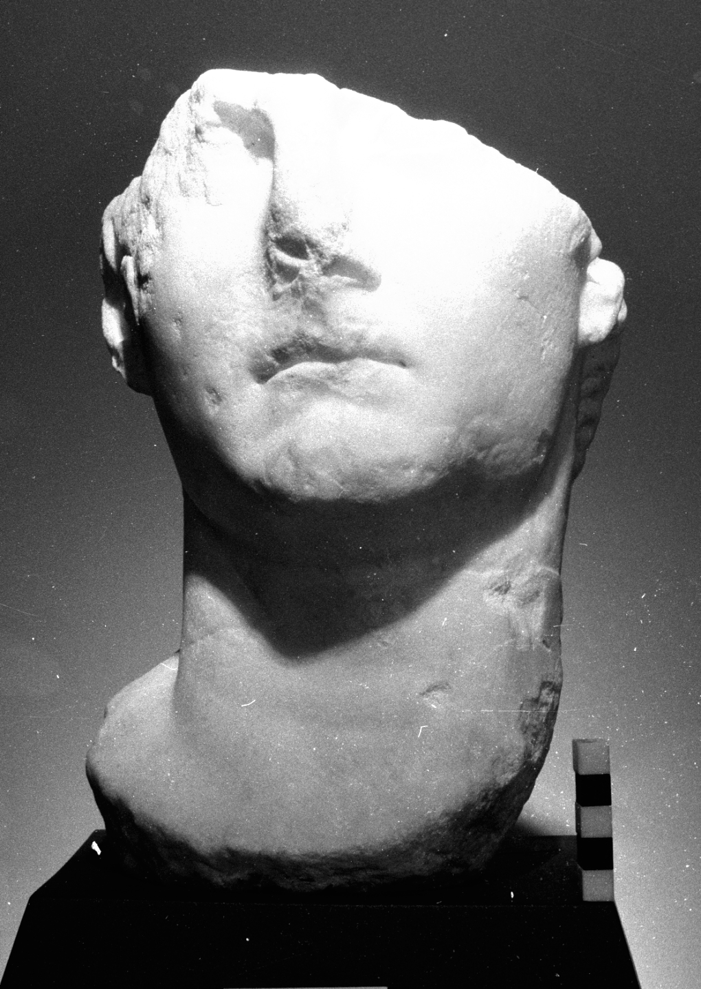 Tiberio (testa ritratto maschile) (prima metà sec. I d.C)