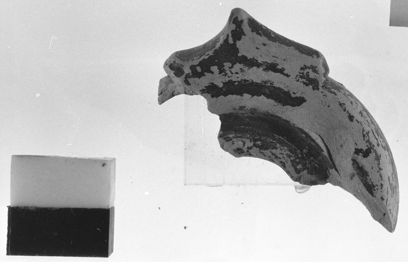 lucerna/frammento, tipo Esquilino (sec. II a.C)