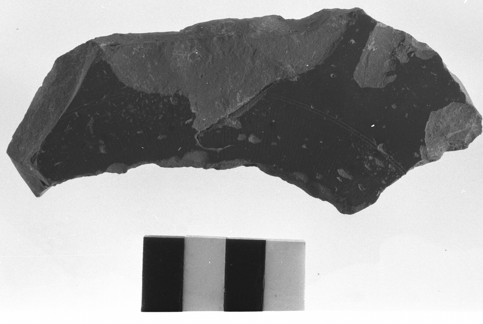 fondo di piatto/frammento - produzione gallica (secc. I a.C. - II d.C)
