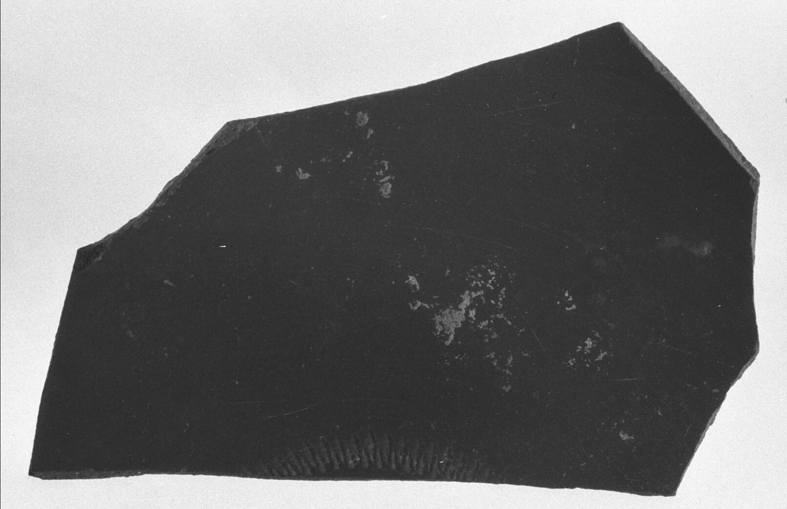 parete di piatto/frammento (secc. III - V d.C)